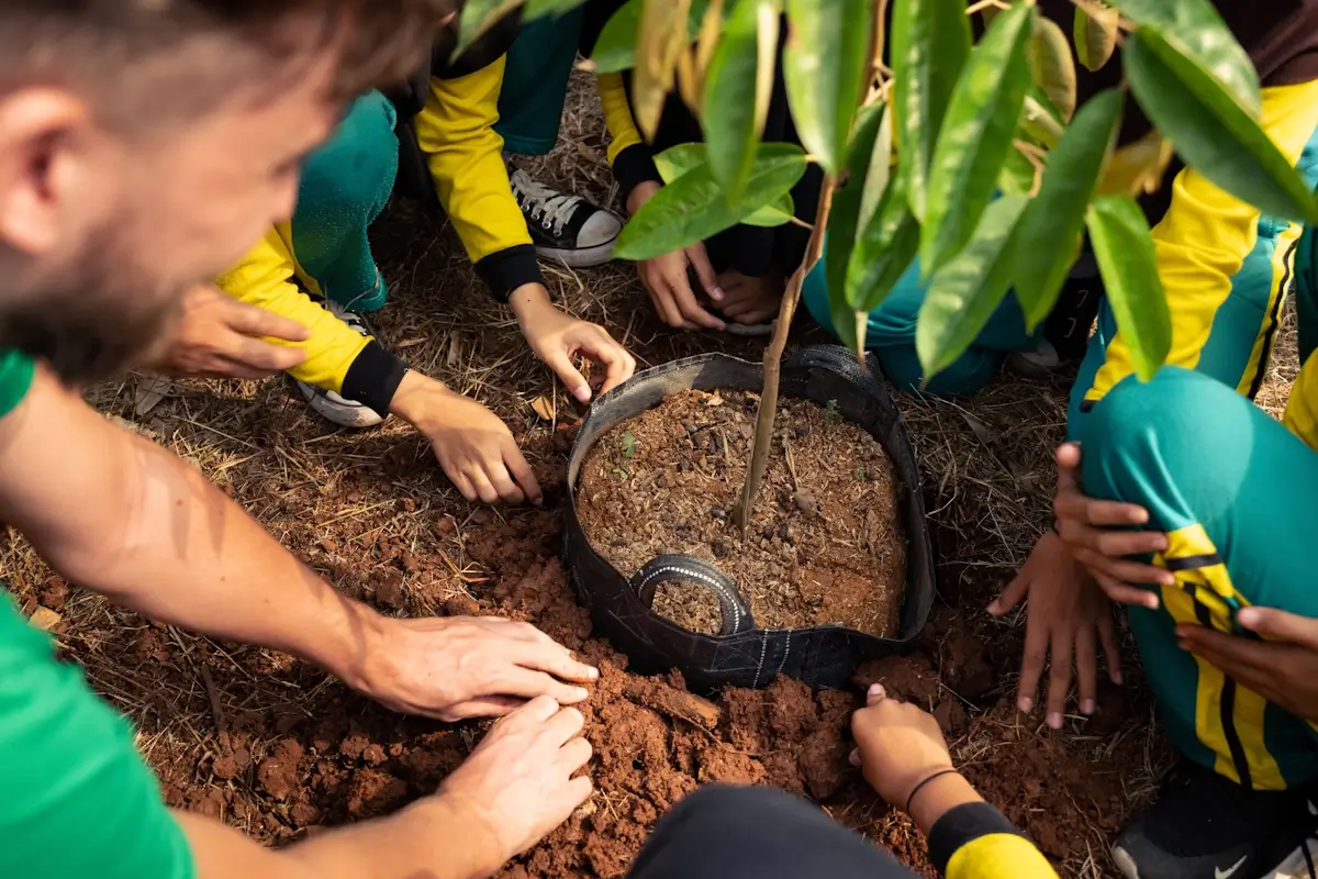 hands planting durian tree